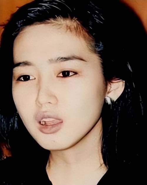 刘德华老婆朱丽倩资料大揭秘她的真实身份是什么