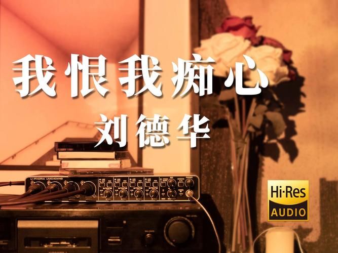 刘德华脑残粉的经典语录每一句都戳中人心