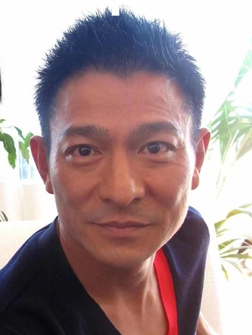 刘德华脸型分析揭秘他的五官比例为何如此完美