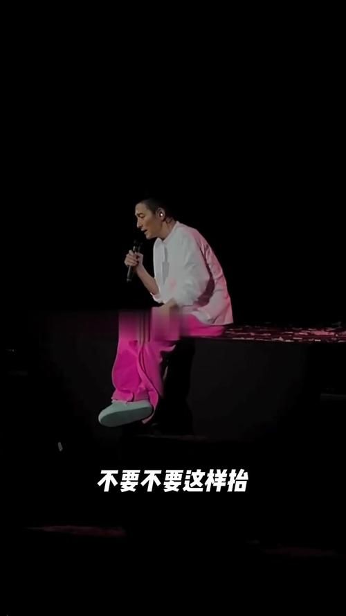 刘德华芜湖演唱会粉丝互动环节大揭秘