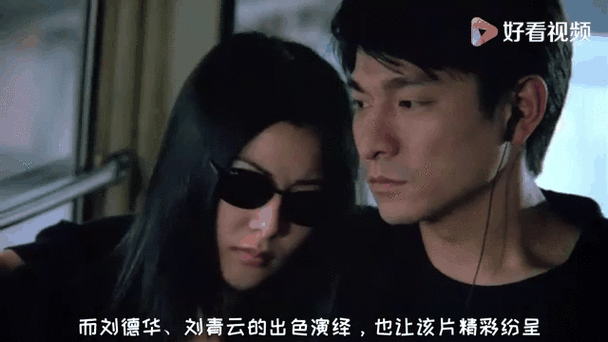 刘德华袁咏仪演的电影推荐这几部不容错过