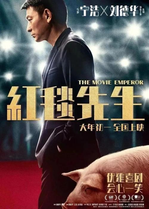 刘德华被绑架电影剧情介绍 天王巨星如何机智脱险