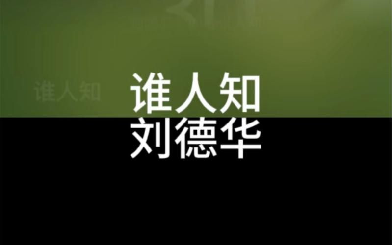刘德华谁人知歌词完整版+深度解析