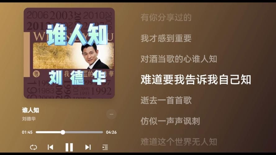 刘德华谁人知歌词完整版+深度解析