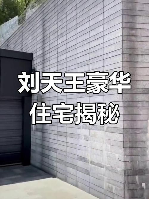 刘德华豪宅照片曝光网友热议明星生活