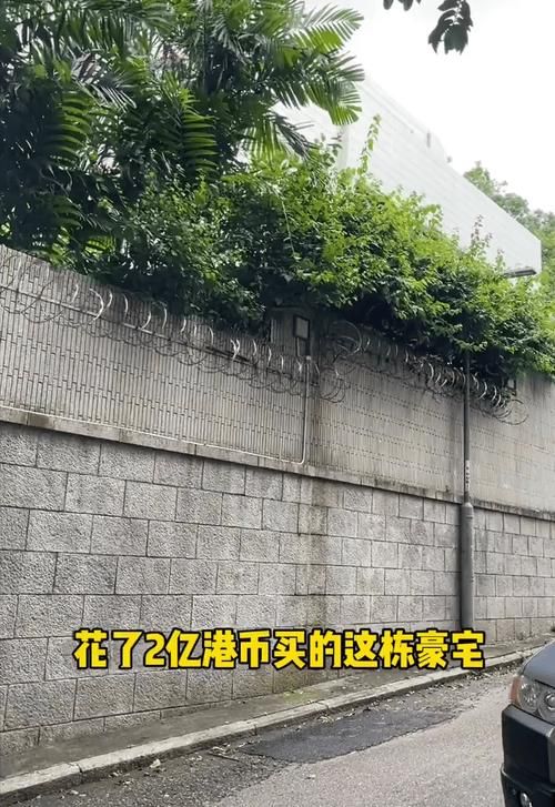 刘德华豪宅照片曝光网友热议明星生活