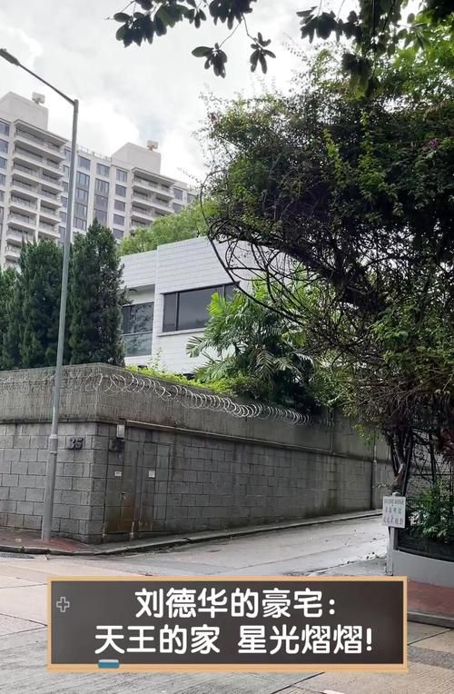 刘德华豪宅照片曝光网友热议明星生活