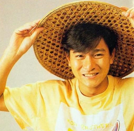 刘德华资产揭秘 从穷小子到亿万富豪的奋斗史