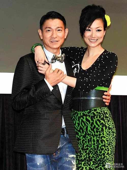 刘德华跟林志玲演的电影有哪些值得看