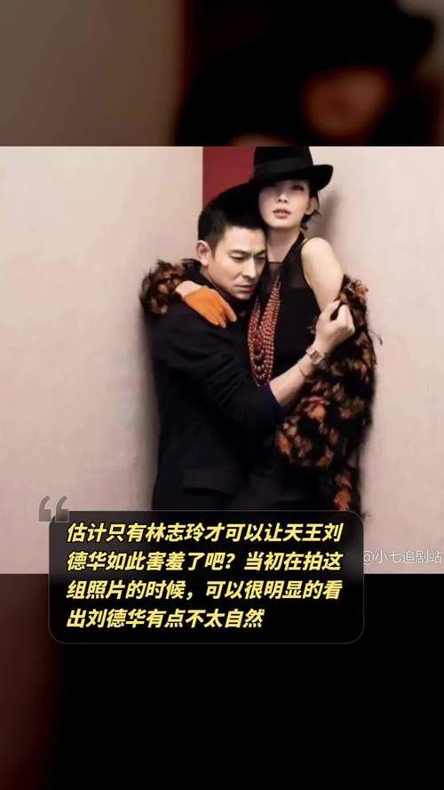 刘德华跟林志玲演的电影有哪些值得看