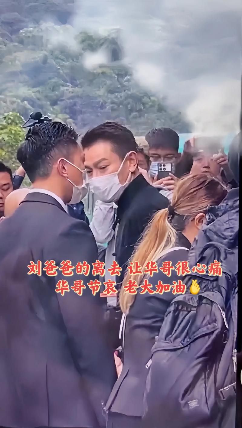 刘德华跳下舞台原因揭秘粉丝心疼不已