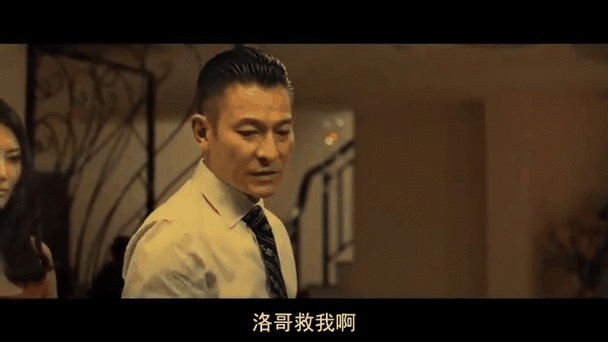刘德华追龙：影帝巅峰之作，你不可错过的经典港片