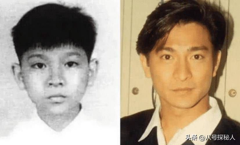 刘德华那年生人 从普通少年到巨星之路
