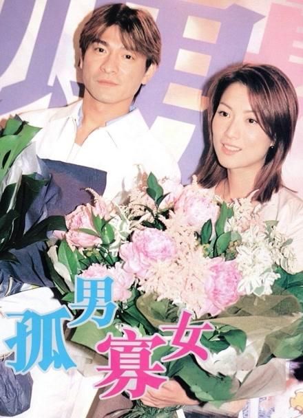刘德华郑秀文主演电影盘点 经典合作不容错过