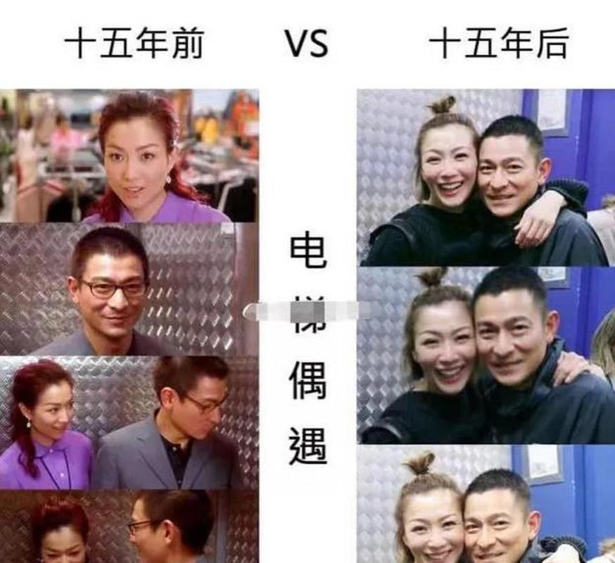 刘德华郑秀文主演电影盘点 经典合作不容错过