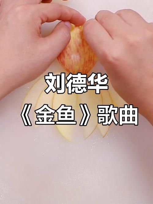 刘德华金鱼和木鱼歌词解析 经典老歌背后的故事