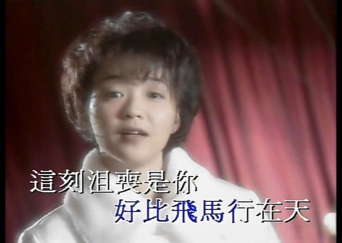 刘德华陈慧娴：那些年我们一起追过的歌星