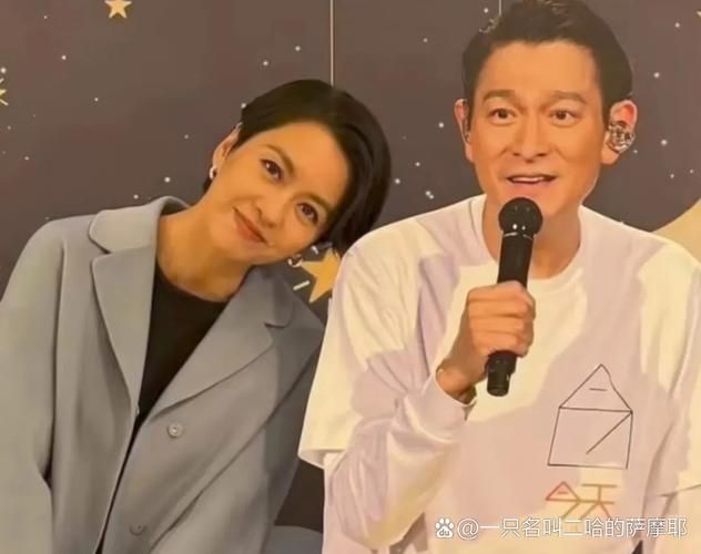 刘德华陈慧琳关系深度解析 从合作到私交全记录