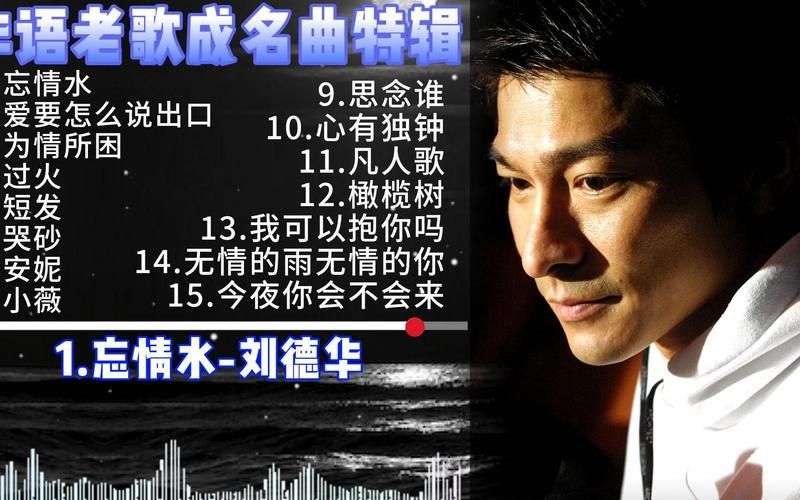 刘德华音乐下载指南 高清音质资源分享
