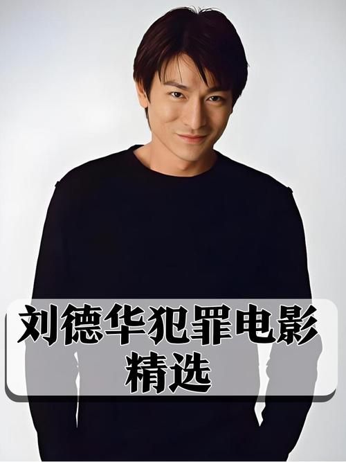 刘德华风暴2主题曲MV：好听又感人！