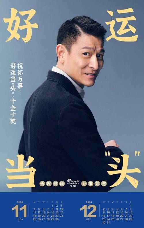 刘德华飞行员电影叫什么名字 剧情简介与演员表一览