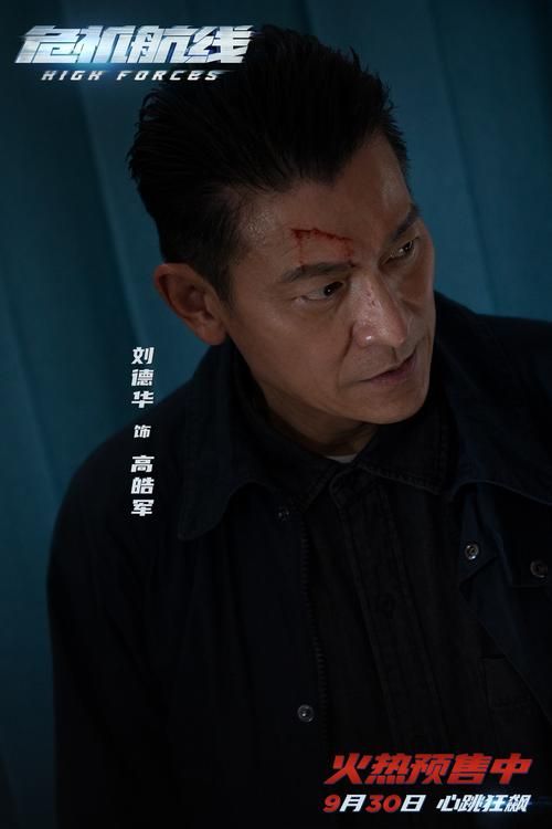 刘德华飞行员电影叫什么名字 剧情简介与演员表一览