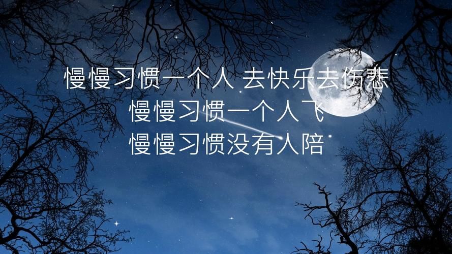 刘德华马桶原唱完整版歌词及创作背景介绍