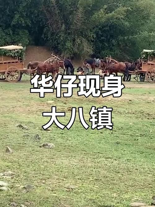 刘德华骑马是什么样的画面？高清图片视频大放送