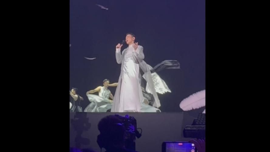 刘德华鸽子情缘演唱会最新消息与行程安排