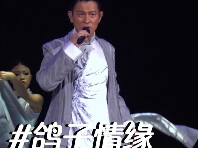 刘德华鸽子情缘演唱会最新消息与行程安排