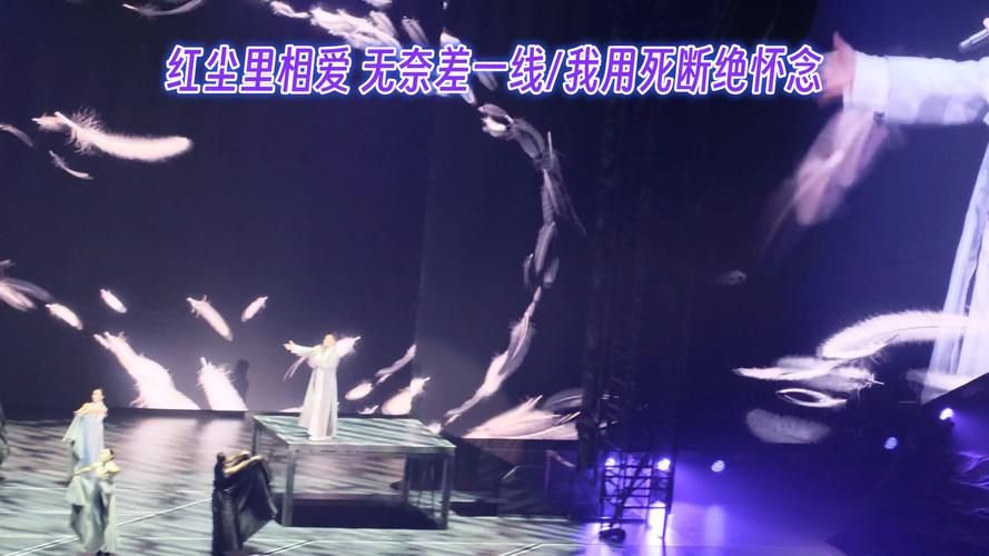 刘德华鸽子情缘演唱会最新消息与行程安排