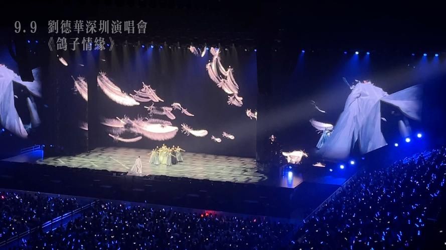 刘德华鸽子情缘演唱会最新消息与行程安排