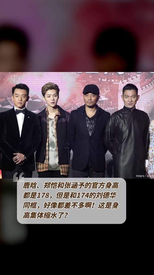 刘德华鹿晗合作舞台燃炸 网友疯狂点赞