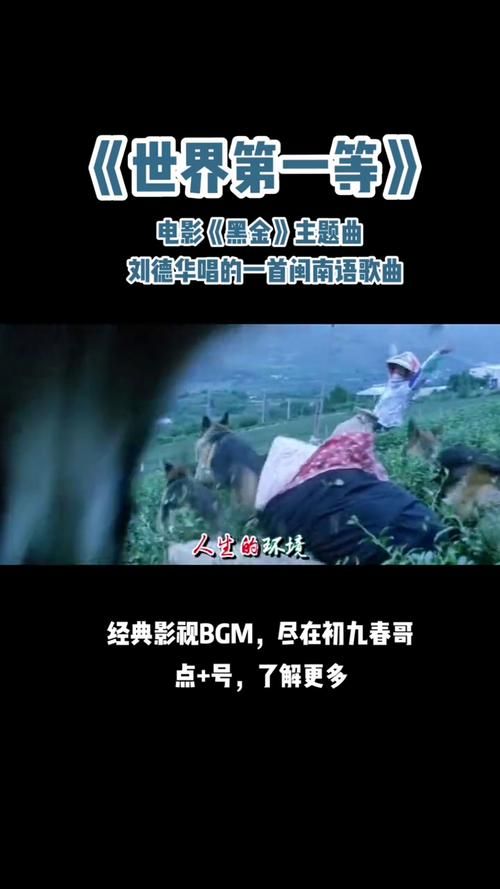 刘德华黑金歌曲中最打动人心的是哪一首