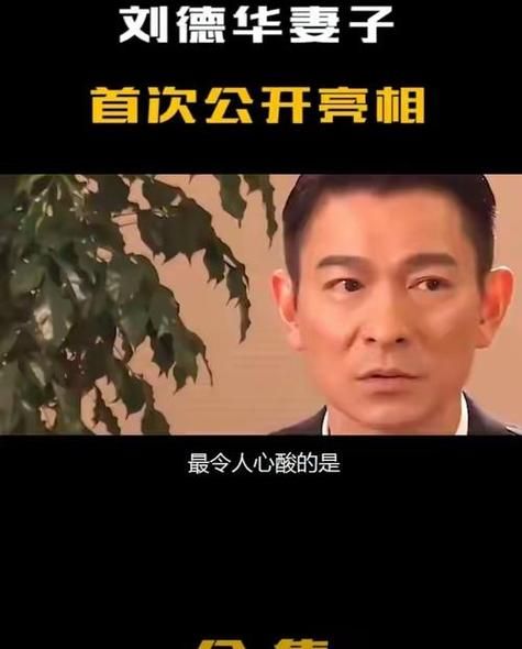 刘德华黑龙江事件真相大公开 事实究竟如何