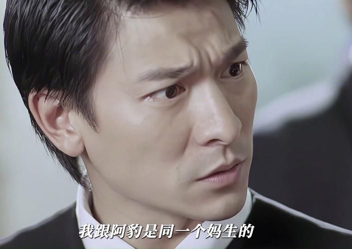 刘德华龙在江湖粤语完整版，兄弟情义与江湖恩怨