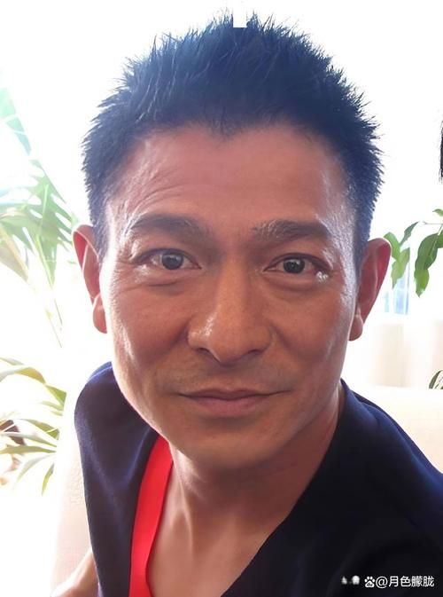 刘德华：影坛劳模的敬业精神和不老传奇