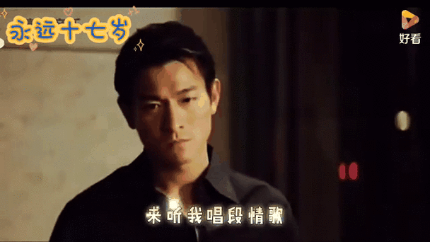 十七岁刘德华mp3高清音质完整版在线试听