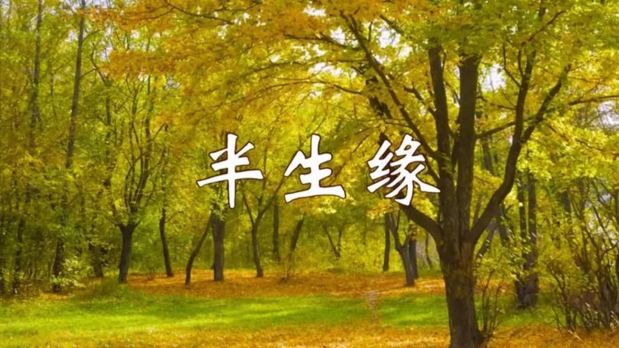 半生缘歌曲刘德华演唱版本为何如此动人