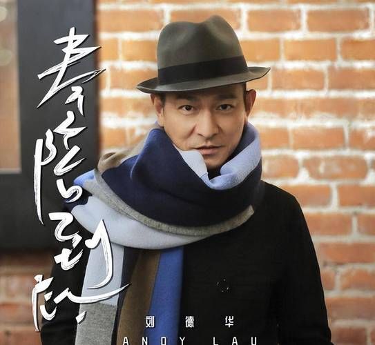 原来我有爱刘德华 为什么这么多人喜欢他