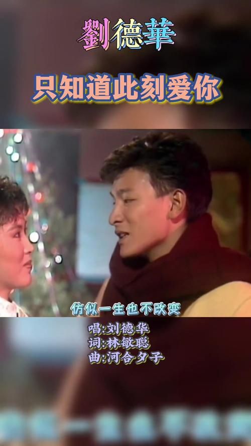 只知道此刻爱你刘德华歌词解析与情感表达