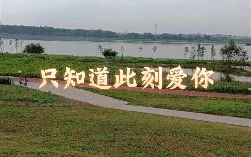 只知道此刻爱你刘德华歌词解析与情感表达