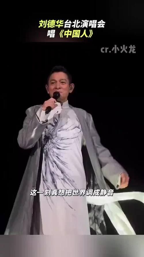 台北演唱会风波：刘德华中国人引绿营不满？