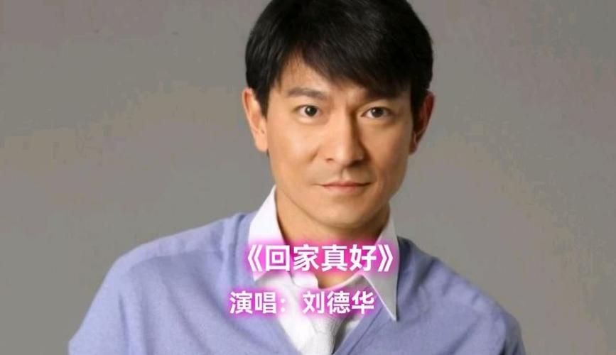听刘德华回家真好：感受家的温暖与力量