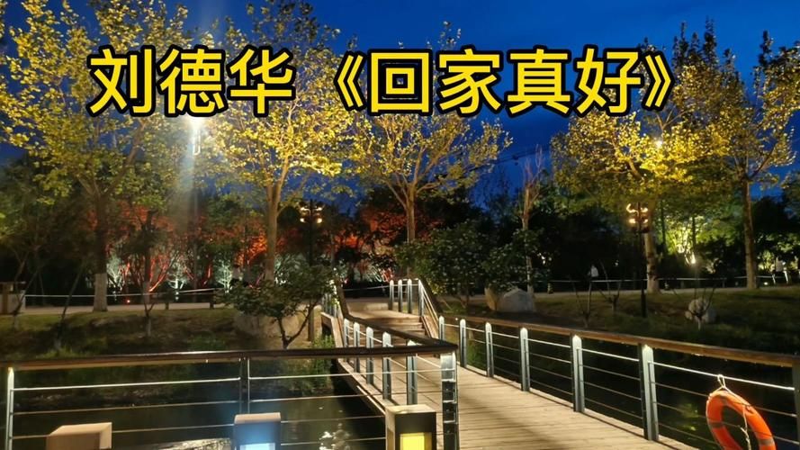听刘德华回家真好：感受家的温暖与力量