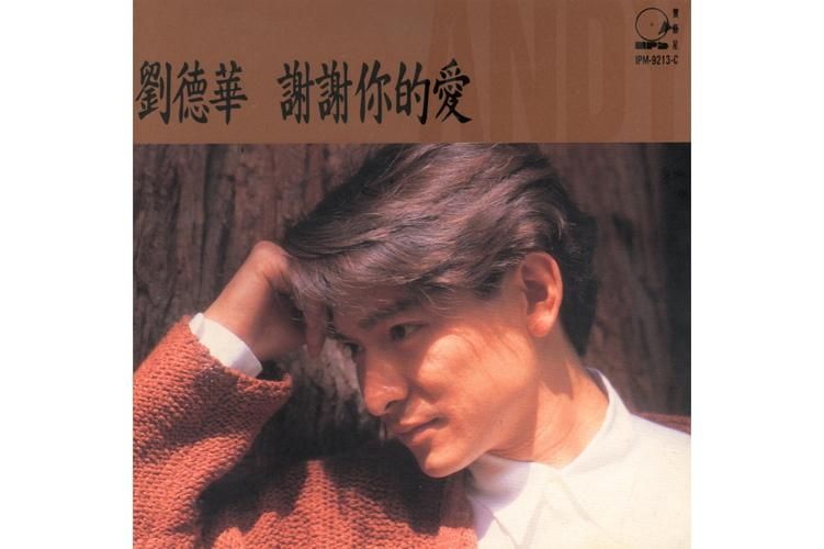 听刘德华演唱浪淘沙，感受歌曲背后的故事