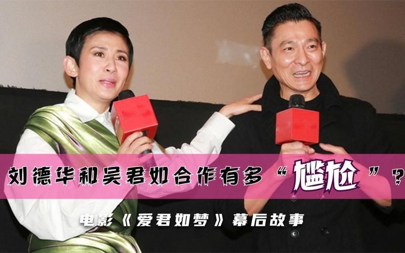 吴君如和刘德华合作电影盘点经典作品回顾