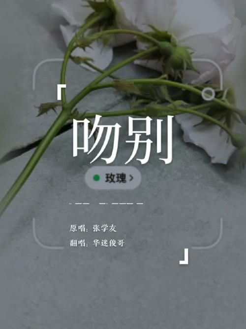 吻别歌词张学友 每一句都让人心碎的情歌
