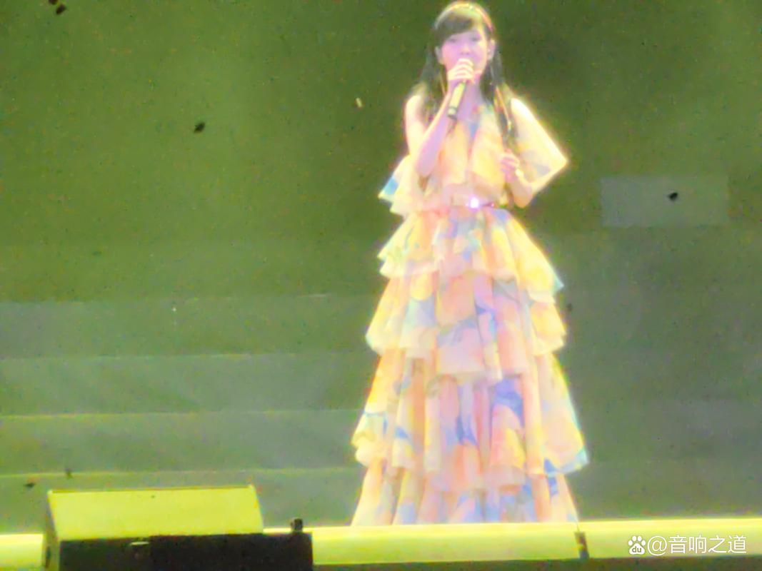 周慧敏现身刘德华演唱会，冻龄女神魅力依旧迷人