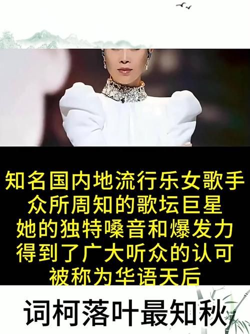 和那英一个年代的歌手盘点 重温华语乐坛巅峰时期